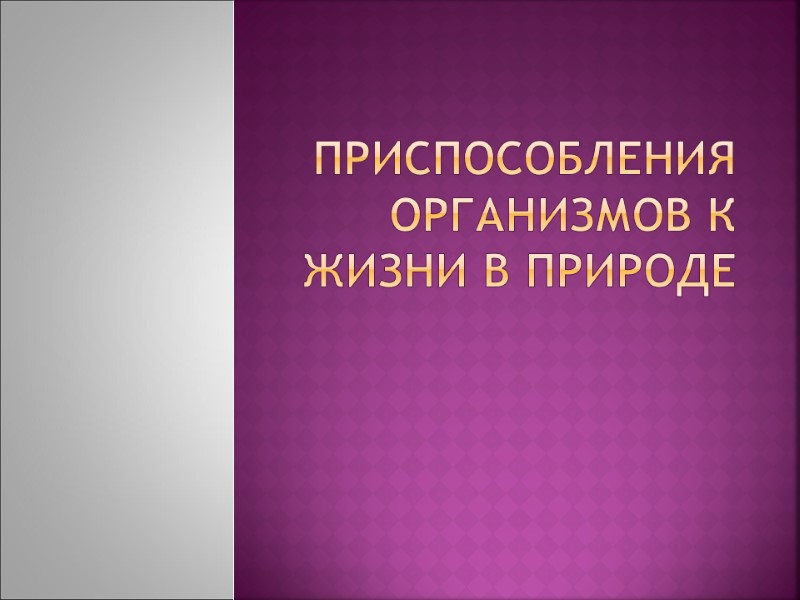 Приспособления организмов к жизни в природе